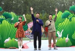 斯凯奇动物最新爆料视频,神秘生物惊现，揭秘未知世界之谜