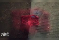 追击套最新爆料视频在线观看,追击套幕后真相，在线观看视频深度解析