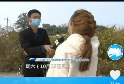 河北女生爆料视频最新,揭秘校园霸凌背后的真相