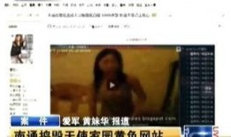桃色视频在线观看免费,在线观看背后的真相与风险