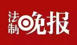 生活新闻爆料在哪里看到,揭秘信息来源与传播途径