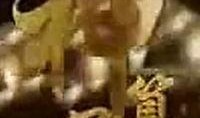 神算子电影在线观看,揭秘神秘算术传奇，在线观影探秘奇人异事