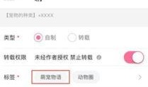 爆料视频从哪里投稿好,热门平台大汇总