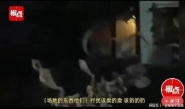 爆料徐州猴哥视频播放,一场猴年猴月的热闹狂欢