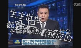 原神爆料央视新闻视频,央视新闻视频揭秘游戏幕后制作故事