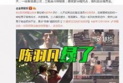 焦点第二期爆料视频大全,揭秘幕后真相与精彩瞬间